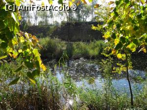 [P14] Lac și stuf. » foto by tata123 🔱
 - 
<span class="allrVoted glyphicon glyphicon-heart hidden" id="av1261408"></span>
<a class="m-l-10 hidden" id="sv1261408" onclick="voting_Foto_DelVot(,1261408,11447)" role="button">șterge vot <span class="glyphicon glyphicon-remove"></span></a>
<a id="v91261408" class=" c-red"  onclick="voting_Foto_SetVot(1261408)" role="button"><span class="glyphicon glyphicon-heart-empty"></span> <b>LIKE</b> = Votează poza</a> <img class="hidden"  id="f1261408W9" src="/imagini/loader.gif" border="0" /><span class="AjErrMes hidden" id="e1261408ErM"></span>