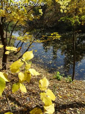 [P06] Toamna pe lac. » foto by tata123 🔱
 - 
<span class="allrVoted glyphicon glyphicon-heart hidden" id="av1261400"></span>
<a class="m-l-10 hidden" id="sv1261400" onclick="voting_Foto_DelVot(,1261400,11447)" role="button">șterge vot <span class="glyphicon glyphicon-remove"></span></a>
<a id="v91261400" class=" c-red"  onclick="voting_Foto_SetVot(1261400)" role="button"><span class="glyphicon glyphicon-heart-empty"></span> <b>LIKE</b> = Votează poza</a> <img class="hidden"  id="f1261400W9" src="/imagini/loader.gif" border="0" /><span class="AjErrMes hidden" id="e1261400ErM"></span>