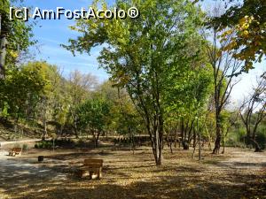 [P07] Prin Parcul Sticlăriei. » foto by tata123 🔱
 - 
<span class="allrVoted glyphicon glyphicon-heart hidden" id="av1261401"></span>
<a class="m-l-10 hidden" id="sv1261401" onclick="voting_Foto_DelVot(,1261401,11447)" role="button">șterge vot <span class="glyphicon glyphicon-remove"></span></a>
<a id="v91261401" class=" c-red"  onclick="voting_Foto_SetVot(1261401)" role="button"><span class="glyphicon glyphicon-heart-empty"></span> <b>LIKE</b> = Votează poza</a> <img class="hidden"  id="f1261401W9" src="/imagini/loader.gif" border="0" /><span class="AjErrMes hidden" id="e1261401ErM"></span>