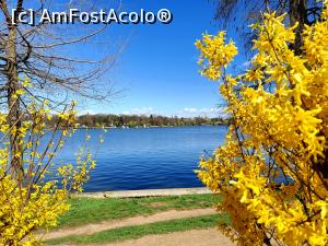 [P05] „Aripi de pescăruș” pe lac. » foto by tata123 🔱
 - 
<span class="allrVoted glyphicon glyphicon-heart hidden" id="av1358741"></span>
<a class="m-l-10 hidden" id="sv1358741" onclick="voting_Foto_DelVot(,1358741,11447)" role="button">șterge vot <span class="glyphicon glyphicon-remove"></span></a>
<a id="v91358741" class=" c-red"  onclick="voting_Foto_SetVot(1358741)" role="button"><span class="glyphicon glyphicon-heart-empty"></span> <b>LIKE</b> = Votează poza</a> <img class="hidden"  id="f1358741W9" src="/imagini/loader.gif" border="0" /><span class="AjErrMes hidden" id="e1358741ErM"></span>