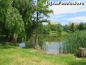 [P15] Parcul Circului - un loc deosebit.  » foto by tata123 🔱
 - 
<span class="allrVoted glyphicon glyphicon-heart hidden" id="av635867"></span>
<a class="m-l-10 hidden" id="sv635867" onclick="voting_Foto_DelVot(,635867,11447)" role="button">șterge vot <span class="glyphicon glyphicon-remove"></span></a>
<a id="v9635867" class=" c-red"  onclick="voting_Foto_SetVot(635867)" role="button"><span class="glyphicon glyphicon-heart-empty"></span> <b>LIKE</b> = Votează poza</a> <img class="hidden"  id="f635867W9" src="/imagini/loader.gif" border="0" /><span class="AjErrMes hidden" id="e635867ErM"></span>