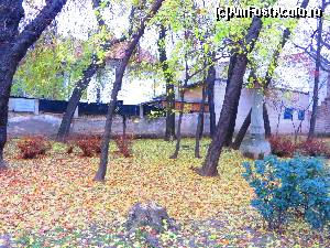 [P11] Toamnă târzie în parcul Brătianu » foto by tata123 🔱
 - 
<span class="allrVoted glyphicon glyphicon-heart hidden" id="av576667"></span>
<a class="m-l-10 hidden" id="sv576667" onclick="voting_Foto_DelVot(,576667,11447)" role="button">șterge vot <span class="glyphicon glyphicon-remove"></span></a>
<a id="v9576667" class=" c-red"  onclick="voting_Foto_SetVot(576667)" role="button"><span class="glyphicon glyphicon-heart-empty"></span> <b>LIKE</b> = Votează poza</a> <img class="hidden"  id="f576667W9" src="/imagini/loader.gif" border="0" /><span class="AjErrMes hidden" id="e576667ErM"></span>