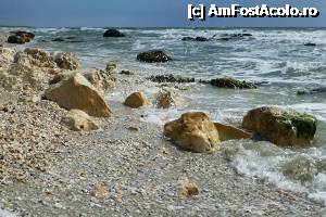 [P01]  -- <small>// FĂRĂ DESCRIERE</small> » foto by Dragos O
 - 
<span class="allrVoted glyphicon glyphicon-heart hidden" id="av352682"></span>
<a class="m-l-10 hidden" id="sv352682" onclick="voting_Foto_DelVot(,352682,11465)" role="button">șterge vot <span class="glyphicon glyphicon-remove"></span></a>
<a id="v9352682" class=" c-red"  onclick="voting_Foto_SetVot(352682)" role="button"><span class="glyphicon glyphicon-heart-empty"></span> <b>LIKE</b> = Votează poza</a> <img class="hidden"  id="f352682W9" src="/imagini/loader.gif" border="0" /><span class="AjErrMes hidden" id="e352682ErM"></span>