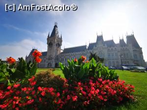 [P24] Palatul Culturii, Iași » foto by pepsi70ro
 - 
<span class="allrVoted glyphicon glyphicon-heart hidden" id="av1149595"></span>
<a class="m-l-10 hidden" id="sv1149595" onclick="voting_Foto_DelVot(,1149595,11467)" role="button">șterge vot <span class="glyphicon glyphicon-remove"></span></a>
<a id="v91149595" class=" c-red"  onclick="voting_Foto_SetVot(1149595)" role="button"><span class="glyphicon glyphicon-heart-empty"></span> <b>LIKE</b> = Votează poza</a> <img class="hidden"  id="f1149595W9" src="/imagini/loader.gif" border="0" /><span class="AjErrMes hidden" id="e1149595ErM"></span>