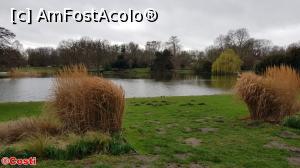 [P29] Maschteich, din Maschpark, parcul din spatele Neues Rathaus » foto by Costi
 - 
<span class="allrVoted glyphicon glyphicon-heart hidden" id="av1152294"></span>
<a class="m-l-10 hidden" id="sv1152294" onclick="voting_Foto_DelVot(,1152294,11476)" role="button">șterge vot <span class="glyphicon glyphicon-remove"></span></a>
<a id="v91152294" class=" c-red"  onclick="voting_Foto_SetVot(1152294)" role="button"><span class="glyphicon glyphicon-heart-empty"></span> <b>LIKE</b> = Votează poza</a> <img class="hidden"  id="f1152294W9" src="/imagini/loader.gif" border="0" /><span class="AjErrMes hidden" id="e1152294ErM"></span>