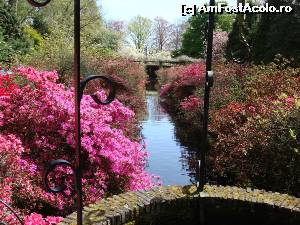 [P03] Keukenhof 3 » foto by fetita
 - 
<span class="allrVoted glyphicon glyphicon-heart hidden" id="av611160"></span>
<a class="m-l-10 hidden" id="sv611160" onclick="voting_Foto_DelVot(,611160,11516)" role="button">șterge vot <span class="glyphicon glyphicon-remove"></span></a>
<a id="v9611160" class=" c-red"  onclick="voting_Foto_SetVot(611160)" role="button"><span class="glyphicon glyphicon-heart-empty"></span> <b>LIKE</b> = Votează poza</a> <img class="hidden"  id="f611160W9" src="/imagini/loader.gif" border="0" /><span class="AjErrMes hidden" id="e611160ErM"></span>