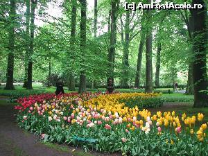 [P28] Parcul mi se pare imens... dar vremea trece foarte repede acolo...  » foto by Larissa
 - 
<span class="allrVoted glyphicon glyphicon-heart hidden" id="av594665"></span>
<a class="m-l-10 hidden" id="sv594665" onclick="voting_Foto_DelVot(,594665,11516)" role="button">șterge vot <span class="glyphicon glyphicon-remove"></span></a>
<a id="v9594665" class=" c-red"  onclick="voting_Foto_SetVot(594665)" role="button"><span class="glyphicon glyphicon-heart-empty"></span> <b>LIKE</b> = Votează poza</a> <img class="hidden"  id="f594665W9" src="/imagini/loader.gif" border="0" /><span class="AjErrMes hidden" id="e594665ErM"></span>