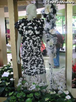 [P50] Little black dress...  » foto by Larissa
 - 
<span class="allrVoted glyphicon glyphicon-heart hidden" id="av594687"></span>
<a class="m-l-10 hidden" id="sv594687" onclick="voting_Foto_DelVot(,594687,11516)" role="button">șterge vot <span class="glyphicon glyphicon-remove"></span></a>
<a id="v9594687" class=" c-red"  onclick="voting_Foto_SetVot(594687)" role="button"><span class="glyphicon glyphicon-heart-empty"></span> <b>LIKE</b> = Votează poza</a> <img class="hidden"  id="f594687W9" src="/imagini/loader.gif" border="0" /><span class="AjErrMes hidden" id="e594687ErM"></span>