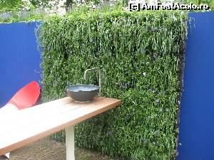 [P67] urban garden » foto by Larissa
 - 
<span class="allrVoted glyphicon glyphicon-heart hidden" id="av594704"></span>
<a class="m-l-10 hidden" id="sv594704" onclick="voting_Foto_DelVot(,594704,11516)" role="button">șterge vot <span class="glyphicon glyphicon-remove"></span></a>
<a id="v9594704" class=" c-red"  onclick="voting_Foto_SetVot(594704)" role="button"><span class="glyphicon glyphicon-heart-empty"></span> <b>LIKE</b> = Votează poza</a> <img class="hidden"  id="f594704W9" src="/imagini/loader.gif" border="0" /><span class="AjErrMes hidden" id="e594704ErM"></span>