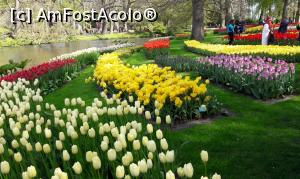 [P32] Parcul Keukenhof » foto by BOGDAN DSN
 - 
<span class="allrVoted glyphicon glyphicon-heart hidden" id="av855895"></span>
<a class="m-l-10 hidden" id="sv855895" onclick="voting_Foto_DelVot(,855895,11516)" role="button">șterge vot <span class="glyphicon glyphicon-remove"></span></a>
<a id="v9855895" class=" c-red"  onclick="voting_Foto_SetVot(855895)" role="button"><span class="glyphicon glyphicon-heart-empty"></span> <b>LIKE</b> = Votează poza</a> <img class="hidden"  id="f855895W9" src="/imagini/loader.gif" border="0" /><span class="AjErrMes hidden" id="e855895ErM"></span>