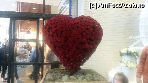 [P34]  -- <small>// FĂRĂ DESCRIERE</small> » foto by Monaa
 - 
<span class="allrVoted glyphicon glyphicon-heart hidden" id="av516223"></span>
<a class="m-l-10 hidden" id="sv516223" onclick="voting_Foto_DelVot(,516223,11516)" role="button">șterge vot <span class="glyphicon glyphicon-remove"></span></a>
<a id="v9516223" class=" c-red"  onclick="voting_Foto_SetVot(516223)" role="button"><span class="glyphicon glyphicon-heart-empty"></span> <b>LIKE</b> = Votează poza</a> <img class="hidden"  id="f516223W9" src="/imagini/loader.gif" border="0" /><span class="AjErrMes hidden" id="e516223ErM"></span>