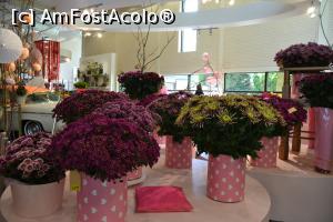 [P59] Expozitie florala,cu vanzare » foto by Dorina9
 - 
<span class="allrVoted glyphicon glyphicon-heart hidden" id="av1160339"></span>
<a class="m-l-10 hidden" id="sv1160339" onclick="voting_Foto_DelVot(,1160339,11516)" role="button">șterge vot <span class="glyphicon glyphicon-remove"></span></a>
<a id="v91160339" class=" c-red"  onclick="voting_Foto_SetVot(1160339)" role="button"><span class="glyphicon glyphicon-heart-empty"></span> <b>LIKE</b> = Votează poza</a> <img class="hidden"  id="f1160339W9" src="/imagini/loader.gif" border="0" /><span class="AjErrMes hidden" id="e1160339ErM"></span>