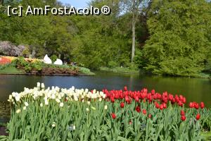 [P73] Parcul Keukenhof » foto by Dorina9
 - 
<span class="allrVoted glyphicon glyphicon-heart hidden" id="av1160353"></span>
<a class="m-l-10 hidden" id="sv1160353" onclick="voting_Foto_DelVot(,1160353,11516)" role="button">șterge vot <span class="glyphicon glyphicon-remove"></span></a>
<a id="v91160353" class=" c-red"  onclick="voting_Foto_SetVot(1160353)" role="button"><span class="glyphicon glyphicon-heart-empty"></span> <b>LIKE</b> = Votează poza</a> <img class="hidden"  id="f1160353W9" src="/imagini/loader.gif" border="0" /><span class="AjErrMes hidden" id="e1160353ErM"></span>