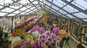 [P03] Keukenhof, sera de orhidee » foto by hopyk
 - 
<span class="allrVoted glyphicon glyphicon-heart hidden" id="av1120504"></span>
<a class="m-l-10 hidden" id="sv1120504" onclick="voting_Foto_DelVot(,1120504,11516)" role="button">șterge vot <span class="glyphicon glyphicon-remove"></span></a>
<a id="v91120504" class=" c-red"  onclick="voting_Foto_SetVot(1120504)" role="button"><span class="glyphicon glyphicon-heart-empty"></span> <b>LIKE</b> = Votează poza</a> <img class="hidden"  id="f1120504W9" src="/imagini/loader.gif" border="0" /><span class="AjErrMes hidden" id="e1120504ErM"></span>