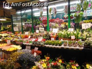 [P15] Scump! Un fel de bazar, multi comercianti care vindeau fructe, legume, flori.  » foto by GabrielaG
 - 
<span class="allrVoted glyphicon glyphicon-heart hidden" id="av742445"></span>
<a class="m-l-10 hidden" id="sv742445" onclick="voting_Foto_DelVot(,742445,11571)" role="button">șterge vot <span class="glyphicon glyphicon-remove"></span></a>
<a id="v9742445" class=" c-red"  onclick="voting_Foto_SetVot(742445)" role="button"><span class="glyphicon glyphicon-heart-empty"></span> <b>LIKE</b> = Votează poza</a> <img class="hidden"  id="f742445W9" src="/imagini/loader.gif" border="0" /><span class="AjErrMes hidden" id="e742445ErM"></span>