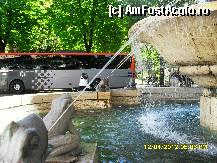 [P104]  -- <small>// FĂRĂ DESCRIERE</small> » foto by adryana
 - 
<span class="allrVoted glyphicon glyphicon-heart hidden" id="av320306"></span>
<a class="m-l-10 hidden" id="sv320306" onclick="voting_Foto_DelVot(,320306,11571)" role="button">șterge vot <span class="glyphicon glyphicon-remove"></span></a>
<a id="v9320306" class=" c-red"  onclick="voting_Foto_SetVot(320306)" role="button"><span class="glyphicon glyphicon-heart-empty"></span> <b>LIKE</b> = Votează poza</a> <img class="hidden"  id="f320306W9" src="/imagini/loader.gif" border="0" /><span class="AjErrMes hidden" id="e320306ErM"></span>