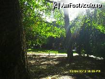 [P117]  -- <small>// FĂRĂ DESCRIERE</small> » foto by adryana
 - 
<span class="allrVoted glyphicon glyphicon-heart hidden" id="av320319"></span>
<a class="m-l-10 hidden" id="sv320319" onclick="voting_Foto_DelVot(,320319,11571)" role="button">șterge vot <span class="glyphicon glyphicon-remove"></span></a>
<a id="v9320319" class=" c-red"  onclick="voting_Foto_SetVot(320319)" role="button"><span class="glyphicon glyphicon-heart-empty"></span> <b>LIKE</b> = Votează poza</a> <img class="hidden"  id="f320319W9" src="/imagini/loader.gif" border="0" /><span class="AjErrMes hidden" id="e320319ErM"></span>