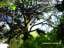 [P118]  -- <small>// FĂRĂ DESCRIERE</small> » foto by adryana
 - 
<span class="allrVoted glyphicon glyphicon-heart hidden" id="av320320"></span>
<a class="m-l-10 hidden" id="sv320320" onclick="voting_Foto_DelVot(,320320,11571)" role="button">șterge vot <span class="glyphicon glyphicon-remove"></span></a>
<a id="v9320320" class=" c-red"  onclick="voting_Foto_SetVot(320320)" role="button"><span class="glyphicon glyphicon-heart-empty"></span> <b>LIKE</b> = Votează poza</a> <img class="hidden"  id="f320320W9" src="/imagini/loader.gif" border="0" /><span class="AjErrMes hidden" id="e320320ErM"></span>
