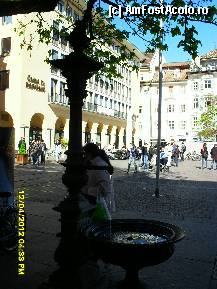 [P13] in piata Walter. » foto by adryana
 - 
<span class="allrVoted glyphicon glyphicon-heart hidden" id="av320215"></span>
<a class="m-l-10 hidden" id="sv320215" onclick="voting_Foto_DelVot(,320215,11571)" role="button">șterge vot <span class="glyphicon glyphicon-remove"></span></a>
<a id="v9320215" class=" c-red"  onclick="voting_Foto_SetVot(320215)" role="button"><span class="glyphicon glyphicon-heart-empty"></span> <b>LIKE</b> = Votează poza</a> <img class="hidden"  id="f320215W9" src="/imagini/loader.gif" border="0" /><span class="AjErrMes hidden" id="e320215ErM"></span>