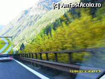[P130] de la Bolzano spre Innsbruck.Am admirat acele tufe galbene de ,,ploaie aurie''. » foto by adryana
 - 
<span class="allrVoted glyphicon glyphicon-heart hidden" id="av320332"></span>
<a class="m-l-10 hidden" id="sv320332" onclick="voting_Foto_DelVot(,320332,11571)" role="button">șterge vot <span class="glyphicon glyphicon-remove"></span></a>
<a id="v9320332" class=" c-red"  onclick="voting_Foto_SetVot(320332)" role="button"><span class="glyphicon glyphicon-heart-empty"></span> <b>LIKE</b> = Votează poza</a> <img class="hidden"  id="f320332W9" src="/imagini/loader.gif" border="0" /><span class="AjErrMes hidden" id="e320332ErM"></span>
