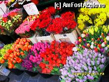 [P57]  -- <small>// FĂRĂ DESCRIERE</small> » foto by adryana
 - 
<span class="allrVoted glyphicon glyphicon-heart hidden" id="av320259"></span>
<a class="m-l-10 hidden" id="sv320259" onclick="voting_Foto_DelVot(,320259,11571)" role="button">șterge vot <span class="glyphicon glyphicon-remove"></span></a>
<a id="v9320259" class=" c-red"  onclick="voting_Foto_SetVot(320259)" role="button"><span class="glyphicon glyphicon-heart-empty"></span> <b>LIKE</b> = Votează poza</a> <img class="hidden"  id="f320259W9" src="/imagini/loader.gif" border="0" /><span class="AjErrMes hidden" id="e320259ErM"></span>