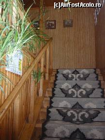 [P27] Casa dintre pini - scarile acoperite cu covoare tesute din lana » foto by sunflower
 - 
<span class="allrVoted glyphicon glyphicon-heart hidden" id="av320874"></span>
<a class="m-l-10 hidden" id="sv320874" onclick="voting_Foto_DelVot(,320874,11582)" role="button">șterge vot <span class="glyphicon glyphicon-remove"></span></a>
<a id="v9320874" class=" c-red"  onclick="voting_Foto_SetVot(320874)" role="button"><span class="glyphicon glyphicon-heart-empty"></span> <b>LIKE</b> = Votează poza</a> <img class="hidden"  id="f320874W9" src="/imagini/loader.gif" border="0" /><span class="AjErrMes hidden" id="e320874ErM"></span>