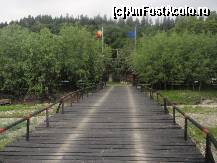 [P35] Casa dintre pini - Podul de acces construit peste paraul Agapia » foto by sunflower
 - 
<span class="allrVoted glyphicon glyphicon-heart hidden" id="av320902"></span>
<a class="m-l-10 hidden" id="sv320902" onclick="voting_Foto_DelVot(,320902,11582)" role="button">șterge vot <span class="glyphicon glyphicon-remove"></span></a>
<a id="v9320902" class=" c-red"  onclick="voting_Foto_SetVot(320902)" role="button"><span class="glyphicon glyphicon-heart-empty"></span> <b>LIKE</b> = Votează poza</a> <img class="hidden"  id="f320902W9" src="/imagini/loader.gif" border="0" /><span class="AjErrMes hidden" id="e320902ErM"></span>