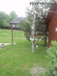 [P45] Casa dintre pini » foto by sunflower
 - 
<span class="allrVoted glyphicon glyphicon-heart hidden" id="av320935"></span>
<a class="m-l-10 hidden" id="sv320935" onclick="voting_Foto_DelVot(,320935,11582)" role="button">șterge vot <span class="glyphicon glyphicon-remove"></span></a>
<a id="v9320935" class=" c-red"  onclick="voting_Foto_SetVot(320935)" role="button"><span class="glyphicon glyphicon-heart-empty"></span> <b>LIKE</b> = Votează poza</a> <img class="hidden"  id="f320935W9" src="/imagini/loader.gif" border="0" /><span class="AjErrMes hidden" id="e320935ErM"></span>