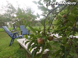 [P21]  -- <small>// FĂRĂ DESCRIERE</small> » foto by diana-camelia*
 - 
<span class="allrVoted glyphicon glyphicon-heart hidden" id="av452316"></span>
<a class="m-l-10 hidden" id="sv452316" onclick="voting_Foto_DelVot(,452316,11582)" role="button">șterge vot <span class="glyphicon glyphicon-remove"></span></a>
<a id="v9452316" class=" c-red"  onclick="voting_Foto_SetVot(452316)" role="button"><span class="glyphicon glyphicon-heart-empty"></span> <b>LIKE</b> = Votează poza</a> <img class="hidden"  id="f452316W9" src="/imagini/loader.gif" border="0" /><span class="AjErrMes hidden" id="e452316ErM"></span>