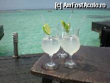 [P35] limo foarte buna si racoritoare » foto by fighter
 - 
<span class="allrVoted glyphicon glyphicon-heart hidden" id="av321228"></span>
<a class="m-l-10 hidden" id="sv321228" onclick="voting_Foto_DelVot(,321228,11587)" role="button">șterge vot <span class="glyphicon glyphicon-remove"></span></a>
<a id="v9321228" class=" c-red"  onclick="voting_Foto_SetVot(321228)" role="button"><span class="glyphicon glyphicon-heart-empty"></span> <b>LIKE</b> = Votează poza</a> <img class="hidden"  id="f321228W9" src="/imagini/loader.gif" border="0" /><span class="AjErrMes hidden" id="e321228ErM"></span>
