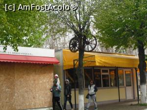 [P06] Roțile-s aici, unde-o fi carul?  » foto by Zoazore
 - 
<span class="allrVoted glyphicon glyphicon-heart hidden" id="av852940"></span>
<a class="m-l-10 hidden" id="sv852940" onclick="voting_Foto_DelVot(,852940,11592)" role="button">șterge vot <span class="glyphicon glyphicon-remove"></span></a>
<a id="v9852940" class=" c-red"  onclick="voting_Foto_SetVot(852940)" role="button"><span class="glyphicon glyphicon-heart-empty"></span> <b>LIKE</b> = Votează poza</a> <img class="hidden"  id="f852940W9" src="/imagini/loader.gif" border="0" /><span class="AjErrMes hidden" id="e852940ErM"></span>