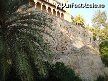 [P14] Palatul Almudaina - Palma » foto by raluca06
 - 
<span class="allrVoted glyphicon glyphicon-heart hidden" id="av350001"></span>
<a class="m-l-10 hidden" id="sv350001" onclick="voting_Foto_DelVot(,350001,11595)" role="button">șterge vot <span class="glyphicon glyphicon-remove"></span></a>
<a id="v9350001" class=" c-red"  onclick="voting_Foto_SetVot(350001)" role="button"><span class="glyphicon glyphicon-heart-empty"></span> <b>LIKE</b> = Votează poza</a> <img class="hidden"  id="f350001W9" src="/imagini/loader.gif" border="0" /><span class="AjErrMes hidden" id="e350001ErM"></span>