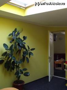 [P01] Camera din apartament cu fereastra de mansarda » foto by monicutza
 - 
<span class="allrVoted glyphicon glyphicon-heart hidden" id="av321726"></span>
<a class="m-l-10 hidden" id="sv321726" onclick="voting_Foto_DelVot(,321726,11602)" role="button">șterge vot <span class="glyphicon glyphicon-remove"></span></a>
<a id="v9321726" class=" c-red"  onclick="voting_Foto_SetVot(321726)" role="button"><span class="glyphicon glyphicon-heart-empty"></span> <b>LIKE</b> = Votează poza</a> <img class="hidden"  id="f321726W9" src="/imagini/loader.gif" border="0" /><span class="AjErrMes hidden" id="e321726ErM"></span>