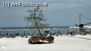 [P11] Pin la Marble Beach » foto by johnnybegoode
 - 
<span class="allrVoted glyphicon glyphicon-heart hidden" id="av1096869"></span>
<a class="m-l-10 hidden" id="sv1096869" onclick="voting_Foto_DelVot(,1096869,11606)" role="button">șterge vot <span class="glyphicon glyphicon-remove"></span></a>
<a id="v91096869" class=" c-red"  onclick="voting_Foto_SetVot(1096869)" role="button"><span class="glyphicon glyphicon-heart-empty"></span> <b>LIKE</b> = Votează poza</a> <img class="hidden"  id="f1096869W9" src="/imagini/loader.gif" border="0" /><span class="AjErrMes hidden" id="e1096869ErM"></span>