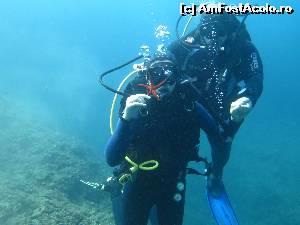 [P05] Scuba Diving - Steluta de mare » foto by AleDia
 - 
<span class="allrVoted glyphicon glyphicon-heart hidden" id="av561542"></span>
<a class="m-l-10 hidden" id="sv561542" onclick="voting_Foto_DelVot(,561542,11606)" role="button">șterge vot <span class="glyphicon glyphicon-remove"></span></a>
<a id="v9561542" class=" c-red"  onclick="voting_Foto_SetVot(561542)" role="button"><span class="glyphicon glyphicon-heart-empty"></span> <b>LIKE</b> = Votează poza</a> <img class="hidden"  id="f561542W9" src="/imagini/loader.gif" border="0" /><span class="AjErrMes hidden" id="e561542ErM"></span>