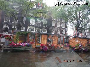 [P19] Amsterdam » foto by c_somova
 - 
<span class="allrVoted glyphicon glyphicon-heart hidden" id="av514623"></span>
<a class="m-l-10 hidden" id="sv514623" onclick="voting_Foto_DelVot(,514623,11623)" role="button">șterge vot <span class="glyphicon glyphicon-remove"></span></a>
<a id="v9514623" class=" c-red"  onclick="voting_Foto_SetVot(514623)" role="button"><span class="glyphicon glyphicon-heart-empty"></span> <b>LIKE</b> = Votează poza</a> <img class="hidden"  id="f514623W9" src="/imagini/loader.gif" border="0" /><span class="AjErrMes hidden" id="e514623ErM"></span>