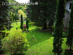 [P28] Mânăstirea Troian - grădina » foto by crismis
 - 
<span class="allrVoted glyphicon glyphicon-heart hidden" id="av1074537"></span>
<a class="m-l-10 hidden" id="sv1074537" onclick="voting_Foto_DelVot(,1074537,11645)" role="button">șterge vot <span class="glyphicon glyphicon-remove"></span></a>
<a id="v91074537" class=" c-red"  onclick="voting_Foto_SetVot(1074537)" role="button"><span class="glyphicon glyphicon-heart-empty"></span> <b>LIKE</b> = Votează poza</a> <img class="hidden"  id="f1074537W9" src="/imagini/loader.gif" border="0" /><span class="AjErrMes hidden" id="e1074537ErM"></span>
