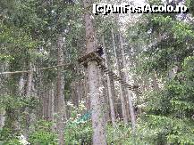 [P09] Forest Park » foto by claudiu 71
 - 
<span class="allrVoted glyphicon glyphicon-heart hidden" id="av324890"></span>
<a class="m-l-10 hidden" id="sv324890" onclick="voting_Foto_DelVot(,324890,11655)" role="button">șterge vot <span class="glyphicon glyphicon-remove"></span></a>
<a id="v9324890" class=" c-red"  onclick="voting_Foto_SetVot(324890)" role="button"><span class="glyphicon glyphicon-heart-empty"></span> <b>LIKE</b> = Votează poza</a> <img class="hidden"  id="f324890W9" src="/imagini/loader.gif" border="0" /><span class="AjErrMes hidden" id="e324890ErM"></span>