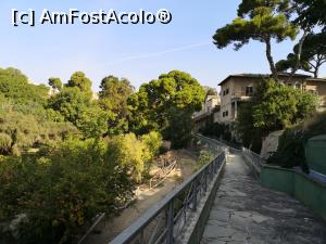 [P15] Grădina Botanică din Cagliari » foto by crismis
 - 
<span class="allrVoted glyphicon glyphicon-heart hidden" id="av1130599"></span>
<a class="m-l-10 hidden" id="sv1130599" onclick="voting_Foto_DelVot(,1130599,11669)" role="button">șterge vot <span class="glyphicon glyphicon-remove"></span></a>
<a id="v91130599" class=" c-red"  onclick="voting_Foto_SetVot(1130599)" role="button"><span class="glyphicon glyphicon-heart-empty"></span> <b>LIKE</b> = Votează poza</a> <img class="hidden"  id="f1130599W9" src="/imagini/loader.gif" border="0" /><span class="AjErrMes hidden" id="e1130599ErM"></span>