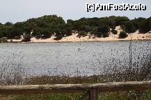[P05] Pasari Flamingo in apele sarate din jurul orasului » foto by Pami*
 - 
<span class="allrVoted glyphicon glyphicon-heart hidden" id="av331012"></span>
<a class="m-l-10 hidden" id="sv331012" onclick="voting_Foto_DelVot(,331012,11669)" role="button">șterge vot <span class="glyphicon glyphicon-remove"></span></a>
<a id="v9331012" class=" c-red"  onclick="voting_Foto_SetVot(331012)" role="button"><span class="glyphicon glyphicon-heart-empty"></span> <b>LIKE</b> = Votează poza</a> <img class="hidden"  id="f331012W9" src="/imagini/loader.gif" border="0" /><span class="AjErrMes hidden" id="e331012ErM"></span>