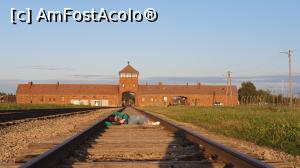 [P18] Auschwitz-Bierkenau » foto by Sclemby
 - 
<span class="allrVoted glyphicon glyphicon-heart hidden" id="av1385572"></span>
<a class="m-l-10 hidden" id="sv1385572" onclick="voting_Foto_DelVot(,1385572,11696)" role="button">șterge vot <span class="glyphicon glyphicon-remove"></span></a>
<a id="v91385572" class=" c-red"  onclick="voting_Foto_SetVot(1385572)" role="button"><span class="glyphicon glyphicon-heart-empty"></span> <b>LIKE</b> = Votează poza</a> <img class="hidden"  id="f1385572W9" src="/imagini/loader.gif" border="0" /><span class="AjErrMes hidden" id="e1385572ErM"></span>