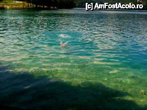 [P48] dupa cum ziceam, apa limpede in Lacul Bled » foto by cristi_an3000
 - 
<span class="allrVoted glyphicon glyphicon-heart hidden" id="av443329"></span>
<a class="m-l-10 hidden" id="sv443329" onclick="voting_Foto_DelVot(,443329,11696)" role="button">șterge vot <span class="glyphicon glyphicon-remove"></span></a>
<a id="v9443329" class=" c-red"  onclick="voting_Foto_SetVot(443329)" role="button"><span class="glyphicon glyphicon-heart-empty"></span> <b>LIKE</b> = Votează poza</a> <img class="hidden"  id="f443329W9" src="/imagini/loader.gif" border="0" /><span class="AjErrMes hidden" id="e443329ErM"></span>