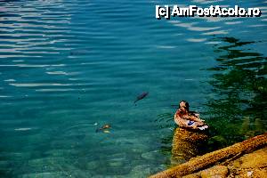 [P50] Lacul Bled, apa foarte limpede » foto by cristi_an3000
 - 
<span class="allrVoted glyphicon glyphicon-heart hidden" id="av443331"></span>
<a class="m-l-10 hidden" id="sv443331" onclick="voting_Foto_DelVot(,443331,11696)" role="button">șterge vot <span class="glyphicon glyphicon-remove"></span></a>
<a id="v9443331" class=" c-red"  onclick="voting_Foto_SetVot(443331)" role="button"><span class="glyphicon glyphicon-heart-empty"></span> <b>LIKE</b> = Votează poza</a> <img class="hidden"  id="f443331W9" src="/imagini/loader.gif" border="0" /><span class="AjErrMes hidden" id="e443331ErM"></span>