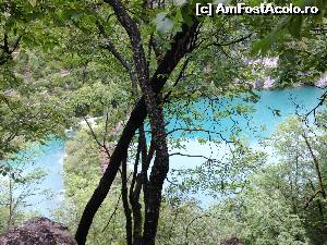 [P01] Plitvice » foto by cristi_an3000
 - 
<span class="allrVoted glyphicon glyphicon-heart hidden" id="av550801"></span>
<a class="m-l-10 hidden" id="sv550801" onclick="voting_Foto_DelVot(,550801,11696)" role="button">șterge vot <span class="glyphicon glyphicon-remove"></span></a>
<a id="v9550801" class=" c-red"  onclick="voting_Foto_SetVot(550801)" role="button"><span class="glyphicon glyphicon-heart-empty"></span> <b>LIKE</b> = Votează poza</a> <img class="hidden"  id="f550801W9" src="/imagini/loader.gif" border="0" /><span class="AjErrMes hidden" id="e550801ErM"></span>