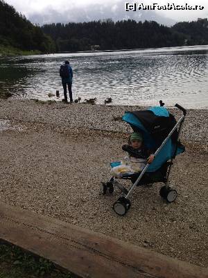 [P16] Lacul Bled, SL » foto by cristi_an3000
 - 
<span class="allrVoted glyphicon glyphicon-heart hidden" id="av550816"></span>
<a class="m-l-10 hidden" id="sv550816" onclick="voting_Foto_DelVot(,550816,11696)" role="button">șterge vot <span class="glyphicon glyphicon-remove"></span></a>
<a id="v9550816" class=" c-red"  onclick="voting_Foto_SetVot(550816)" role="button"><span class="glyphicon glyphicon-heart-empty"></span> <b>LIKE</b> = Votează poza</a> <img class="hidden"  id="f550816W9" src="/imagini/loader.gif" border="0" /><span class="AjErrMes hidden" id="e550816ErM"></span>
