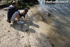 [P21] Lacul Bohinj, SL » foto by cristi_an3000
 - 
<span class="allrVoted glyphicon glyphicon-heart hidden" id="av550821"></span>
<a class="m-l-10 hidden" id="sv550821" onclick="voting_Foto_DelVot(,550821,11696)" role="button">șterge vot <span class="glyphicon glyphicon-remove"></span></a>
<a id="v9550821" class=" c-red"  onclick="voting_Foto_SetVot(550821)" role="button"><span class="glyphicon glyphicon-heart-empty"></span> <b>LIKE</b> = Votează poza</a> <img class="hidden"  id="f550821W9" src="/imagini/loader.gif" border="0" /><span class="AjErrMes hidden" id="e550821ErM"></span>
