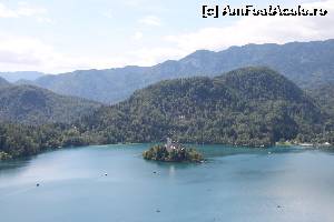 [P24] Lacul Bled, vedere de la castel » foto by cristi_an3000
 - 
<span class="allrVoted glyphicon glyphicon-heart hidden" id="av550824"></span>
<a class="m-l-10 hidden" id="sv550824" onclick="voting_Foto_DelVot(,550824,11696)" role="button">șterge vot <span class="glyphicon glyphicon-remove"></span></a>
<a id="v9550824" class=" c-red"  onclick="voting_Foto_SetVot(550824)" role="button"><span class="glyphicon glyphicon-heart-empty"></span> <b>LIKE</b> = Votează poza</a> <img class="hidden"  id="f550824W9" src="/imagini/loader.gif" border="0" /><span class="AjErrMes hidden" id="e550824ErM"></span>