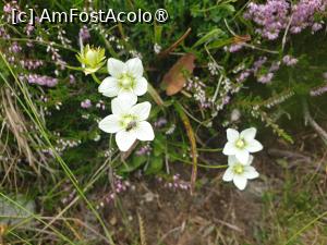 [P28] Parco Naturale Gruppo di Tessa » foto by sunflower
 - 
<span class="allrVoted glyphicon glyphicon-heart hidden" id="av1423025"></span>
<a class="m-l-10 hidden" id="sv1423025" onclick="voting_Foto_DelVot(,1423025,11696)" role="button">șterge vot <span class="glyphicon glyphicon-remove"></span></a>
<a id="v91423025" class=" c-red"  onclick="voting_Foto_SetVot(1423025)" role="button"><span class="glyphicon glyphicon-heart-empty"></span> <b>LIKE</b> = Votează poza</a> <img class="hidden"  id="f1423025W9" src="/imagini/loader.gif" border="0" /><span class="AjErrMes hidden" id="e1423025ErM"></span>