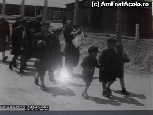[P11] Oroarea fără margini, fotografii din Lagarul Morții Auschwitz, copii pe drumul fără întoarcere... :( ( ( ( » foto by sunflower
 - 
<span class="allrVoted glyphicon glyphicon-heart hidden" id="av555256"></span>
<a class="m-l-10 hidden" id="sv555256" onclick="voting_Foto_DelVot(,555256,11696)" role="button">șterge vot <span class="glyphicon glyphicon-remove"></span></a>
<a id="v9555256" class=" c-red"  onclick="voting_Foto_SetVot(555256)" role="button"><span class="glyphicon glyphicon-heart-empty"></span> <b>LIKE</b> = Votează poza</a> <img class="hidden"  id="f555256W9" src="/imagini/loader.gif" border="0" /><span class="AjErrMes hidden" id="e555256ErM"></span>