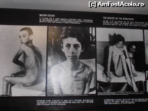 [P12] Oroarea fără margini, fotografii din Lagarul Morții Auschwitz... :( ( ( ( » foto by sunflower
 - 
<span class="allrVoted glyphicon glyphicon-heart hidden" id="av555257"></span>
<a class="m-l-10 hidden" id="sv555257" onclick="voting_Foto_DelVot(,555257,11696)" role="button">șterge vot <span class="glyphicon glyphicon-remove"></span></a>
<a id="v9555257" class=" c-red"  onclick="voting_Foto_SetVot(555257)" role="button"><span class="glyphicon glyphicon-heart-empty"></span> <b>LIKE</b> = Votează poza</a> <img class="hidden"  id="f555257W9" src="/imagini/loader.gif" border="0" /><span class="AjErrMes hidden" id="e555257ErM"></span>